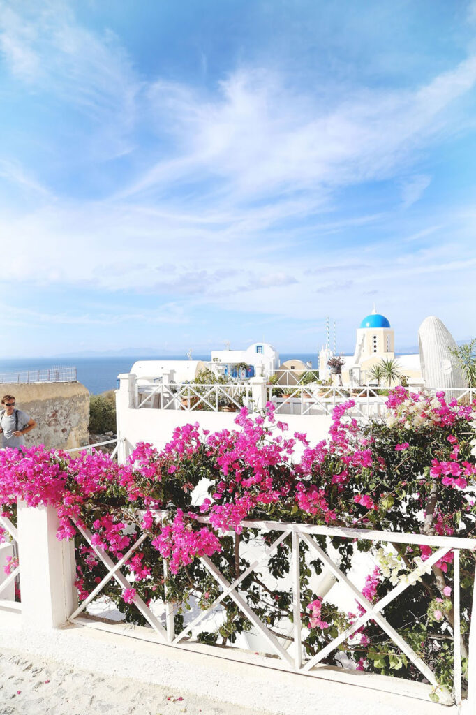 Flowers Santorini