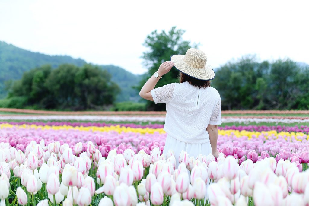 best tulip fields in canada