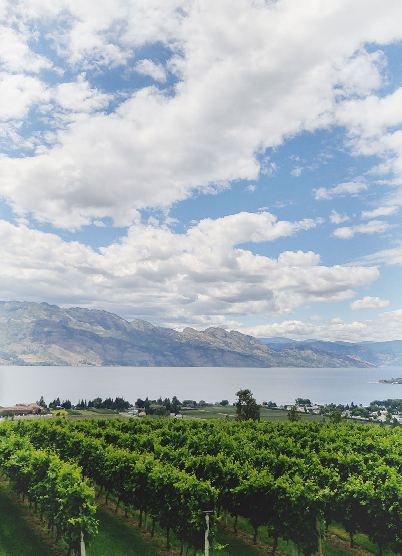 Best wineries in the Okanagan