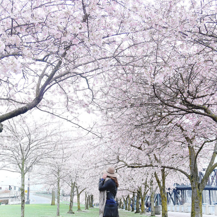 To Vogue or Bust wearing Silver Jeans boyfriend jeans, Converse sneakers and an Express wool hat at the cherry blossom festival in Portland, Oregon