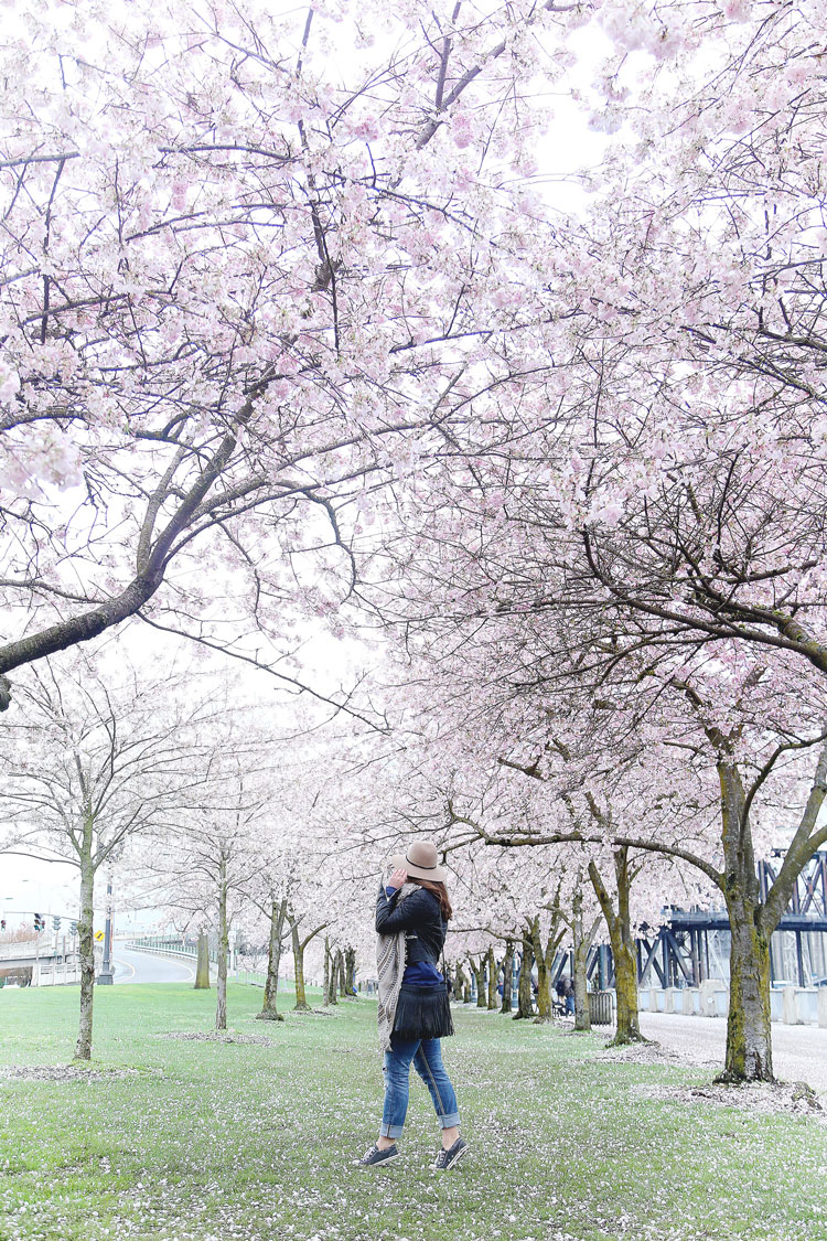 To Vogue or Bust wearing Silver Jeans boyfriend jeans, Converse sneakers and an Express wool hat at the cherry blossom festival in Portland, Oregon