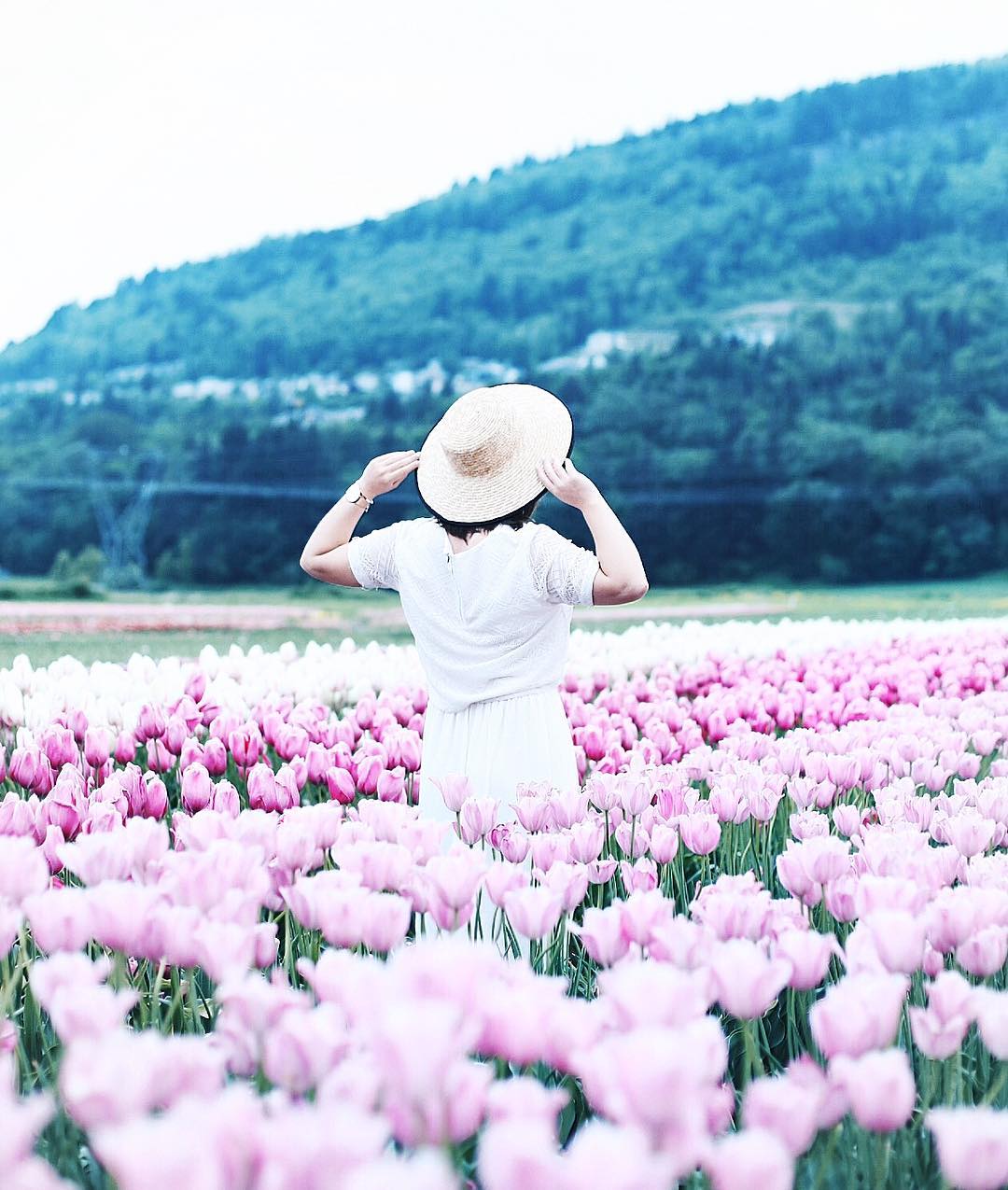 To Vogue or Bust wears a boat hat and crop top in a tulip filed at the Abbotsford Tulip Festival