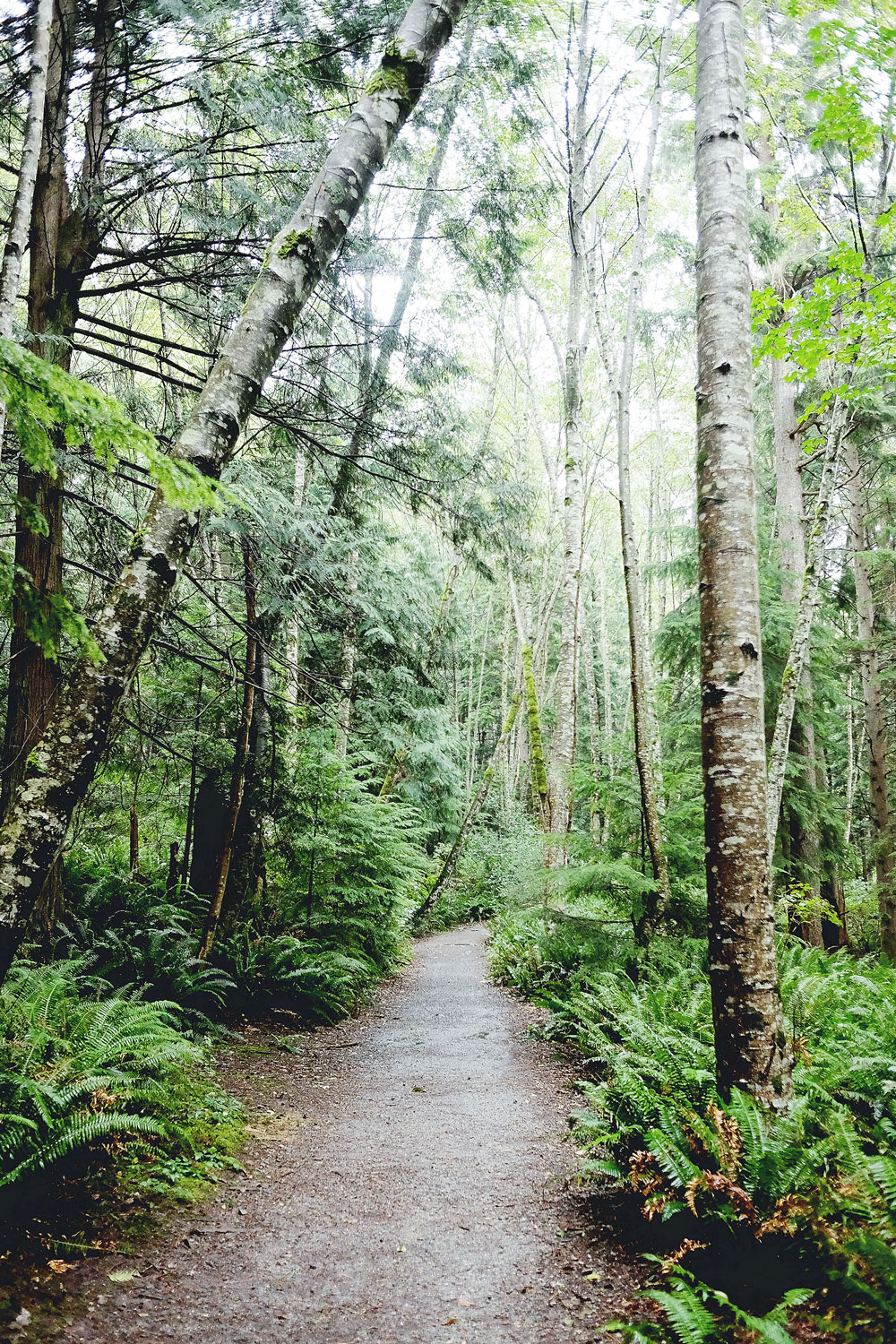 Best yoga retreats in British Columbia, Canada: Nectar Yoga B&B on Bowen Island