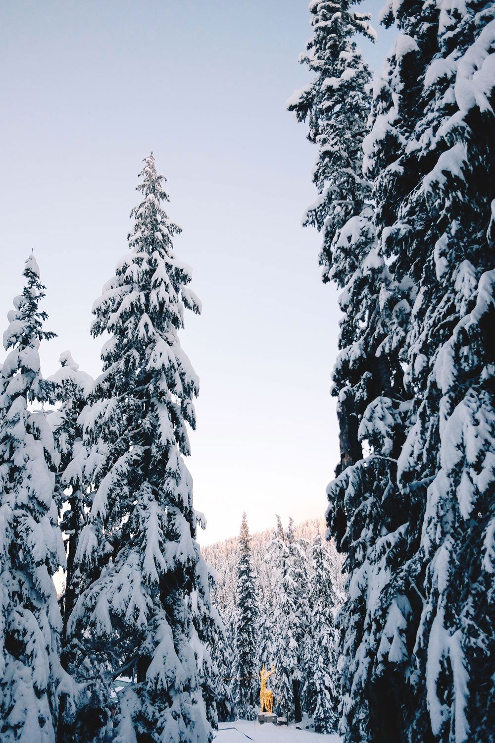 Things to do in Vancouver at Christmas - Grouse Mountain Peak of Christmas ice skating, snowshoeing and skiing