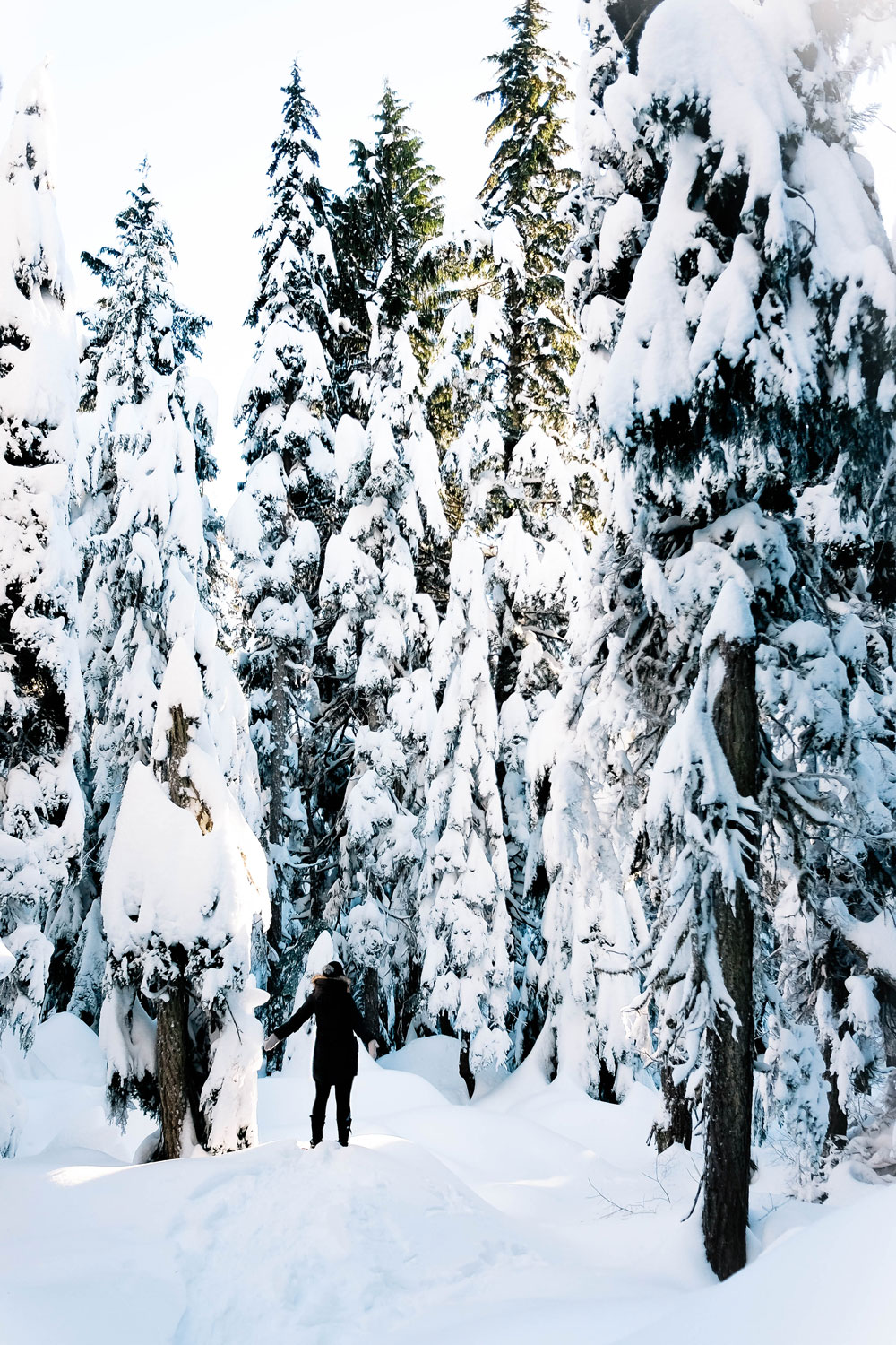 Things to do in Vancouver this winter 2016: Cypress Mountain snowshoeing, Enchant Light Show, Van Dusen Festival of Lights and Lynn Valley Lynn Canyon Suspension Bridge