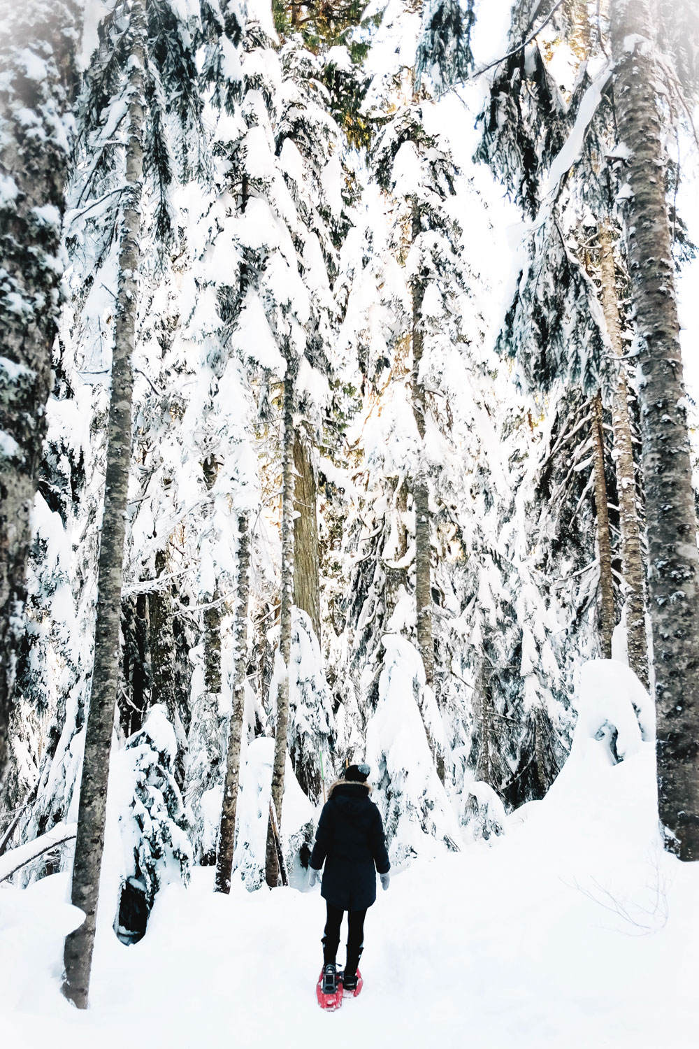 Things to do in Vancouver this winter 2016: Cypress Mountain snowshoeing, Enchant Light Show, Van Dusen Festival of Lights and Lynn Valley Lynn Canyon Suspension Bridge