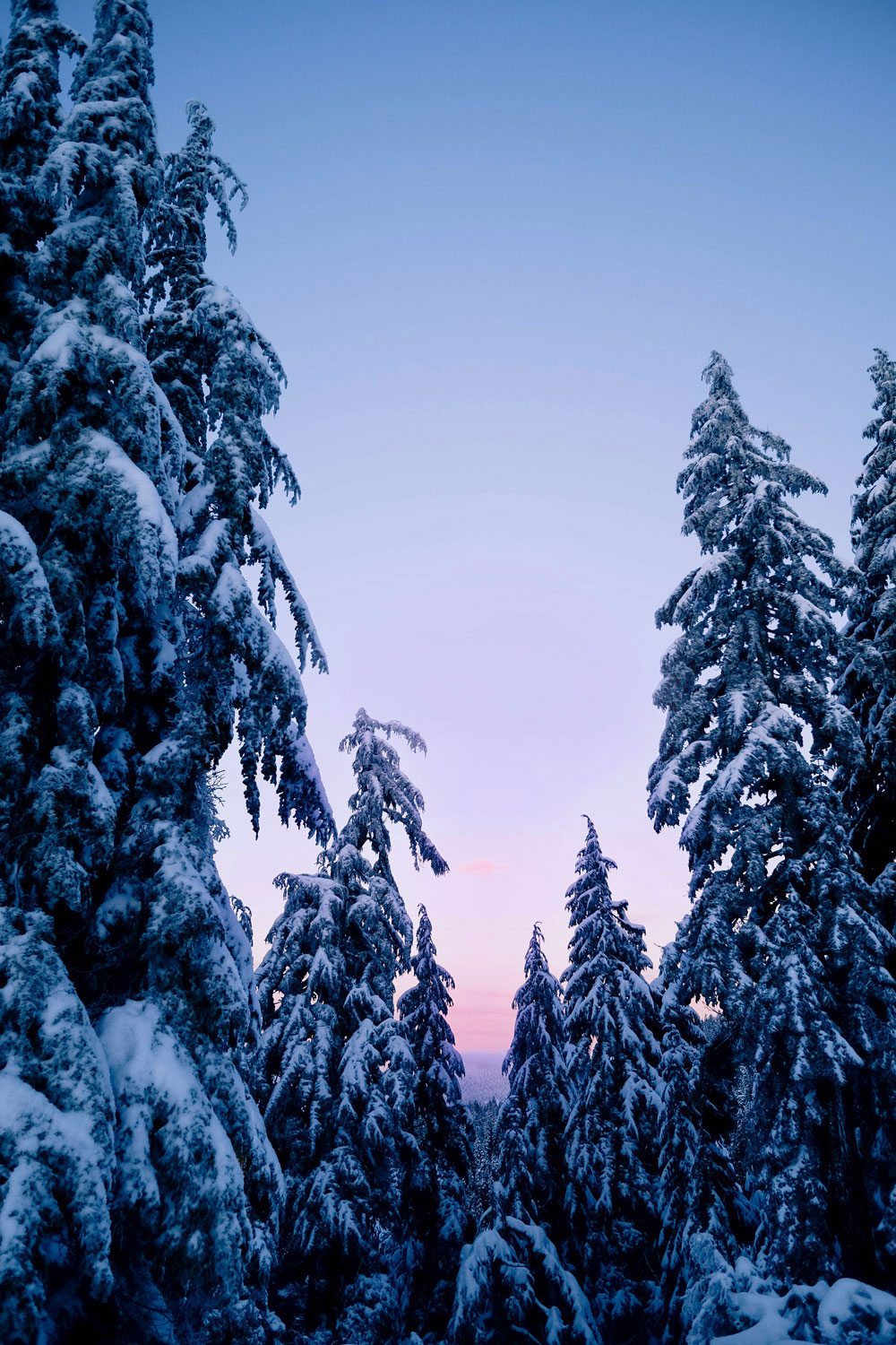 Things to do in Vancouver at Christmas - Grouse Mountain Peak of Christmas ice skating, snowshoeing and skiing