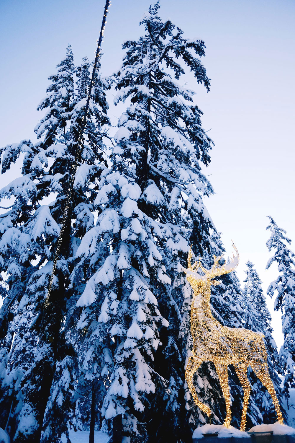 Things to do in Vancouver at Christmas - Grouse Mountain Peak of Christmas ice skating, snowshoeing and skiing