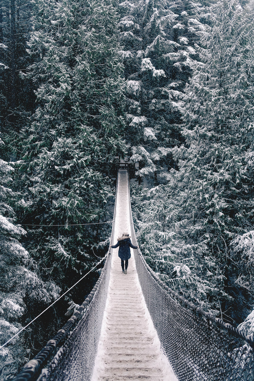 Things to do in Vancouver this winter 2016: Cypress Mountain snowshoeing, Enchant Light Show, Van Dusen Festival of Lights and Lynn Valley Lynn Canyon Suspension Bridge
