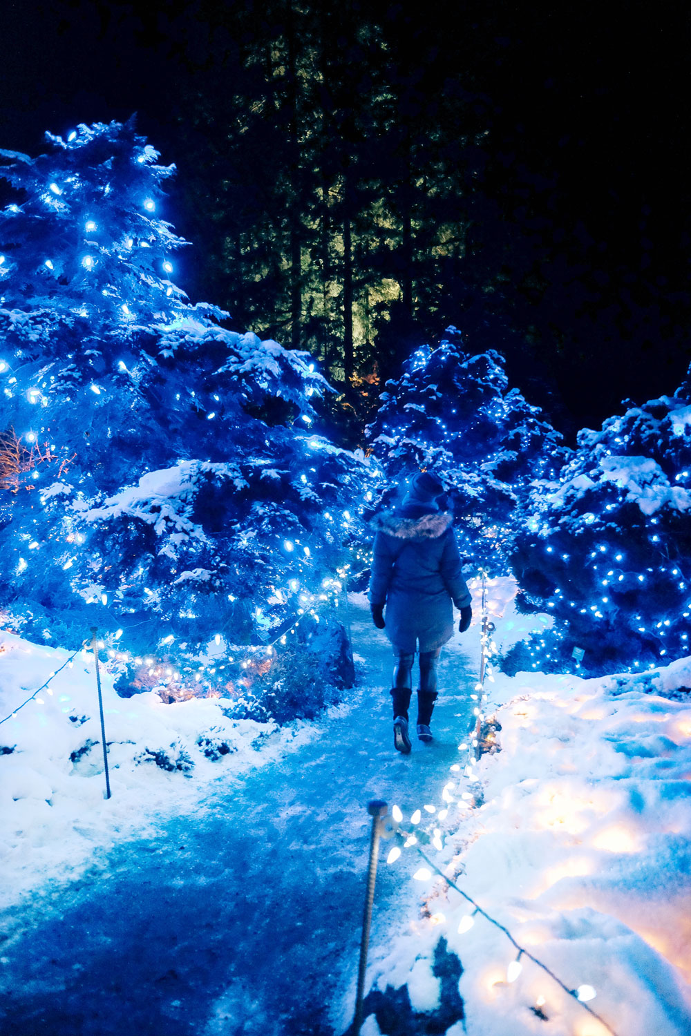 Things to do in Vancouver this winter 2016: Cypress Mountain snowshoeing, Enchant Light Show, Van Dusen Festival of Lights and Lynn Valley Lynn Canyon Suspension Bridge