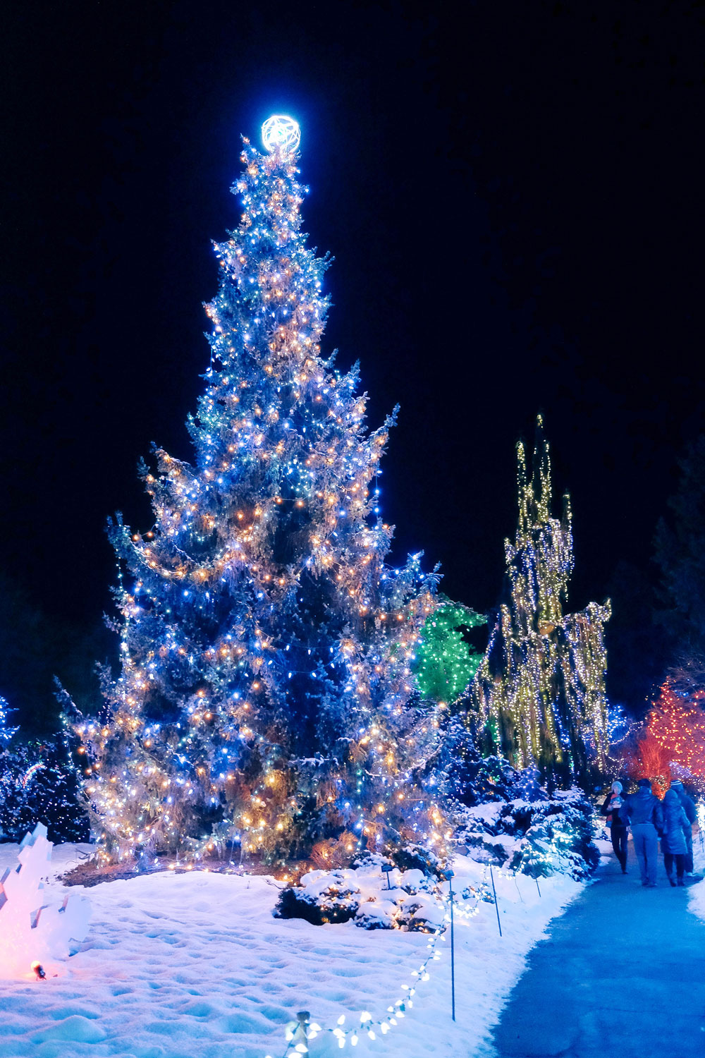 Things to do in Vancouver this winter 2016: Cypress Mountain snowshoeing, Enchant Light Show, Van Dusen Festival of Lights and Lynn Valley Lynn Canyon Suspension Bridge