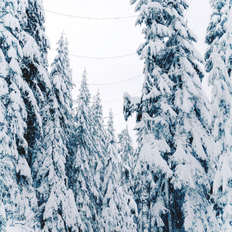 Things to do in Vancouver at Christmas - Grouse Mountain Peak of Christmas ice skating, snowshoeing and skiing