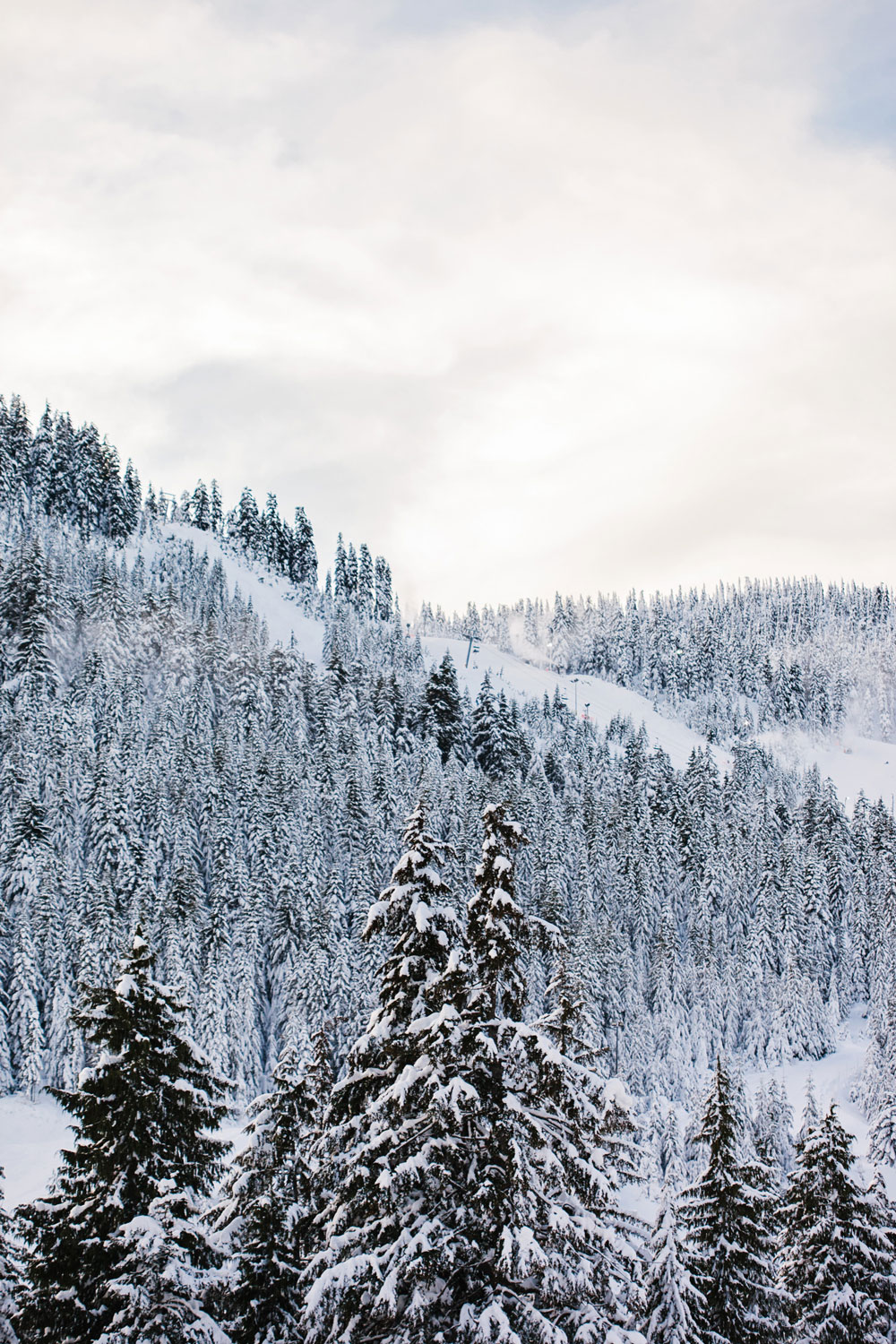 What to do in Vancouver in the winter: Cypress Mountain in the snow