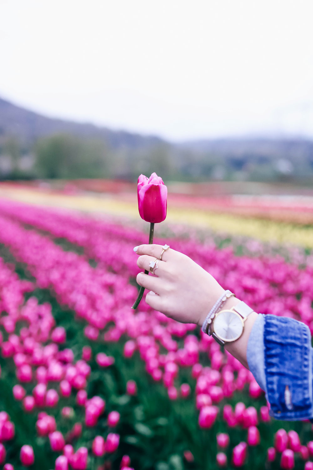 How to transition into summer style, how to wear a romper, how to wear a denim jacket, romper spring style, in aritzia straw hat, cluse watch, lovers friends romper, revolve romper, at abbotsford tulip festival by To Vogue or Bust 