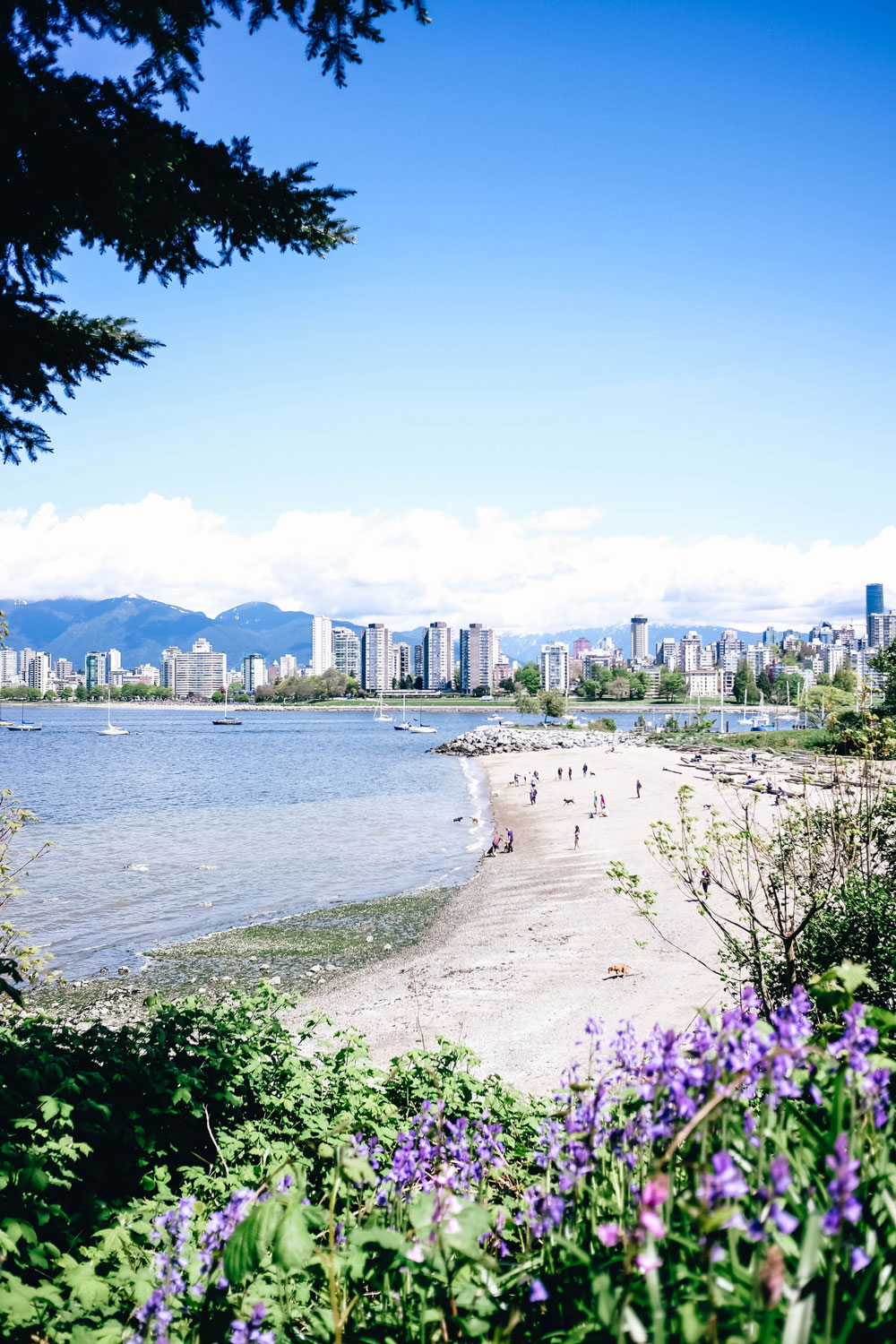photography tips for beginners, best views in vancouver, what to see in vancouver, what to do in vancouver, best coffee shops in vancouver, vancouver travel guide by To Vogue or Bust