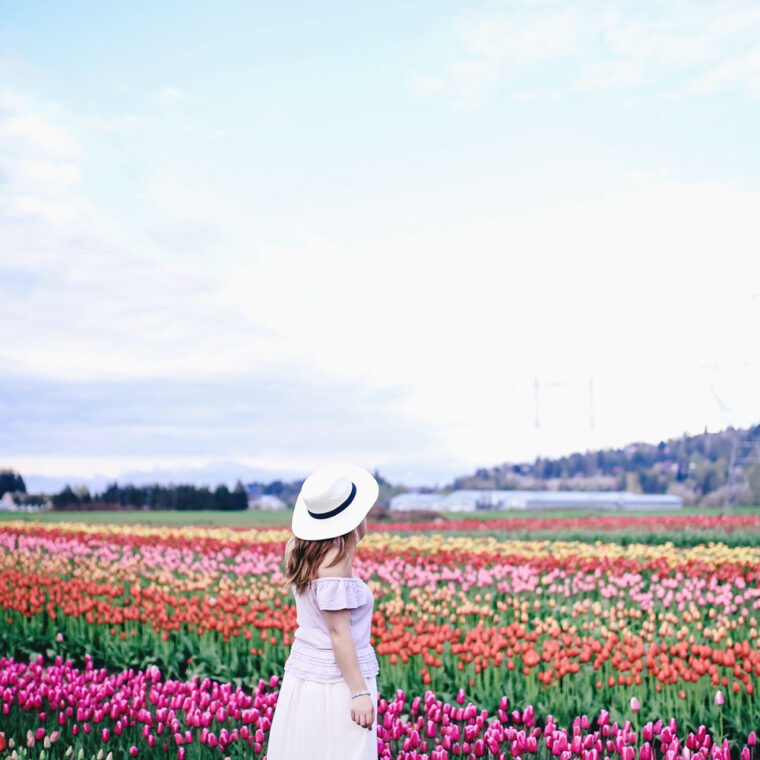 Tulip fields in Vancouver by To Vogue or Bust in an Aritzia silk skirt Aritzia off the shoulder top Joe Fresh panama hat