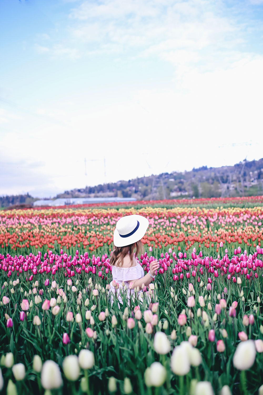 Tulip fields in Vancouver by To Vogue or Bust in an Aritzia silk skirt Aritzia off the shoulder top Joe Fresh panama hat