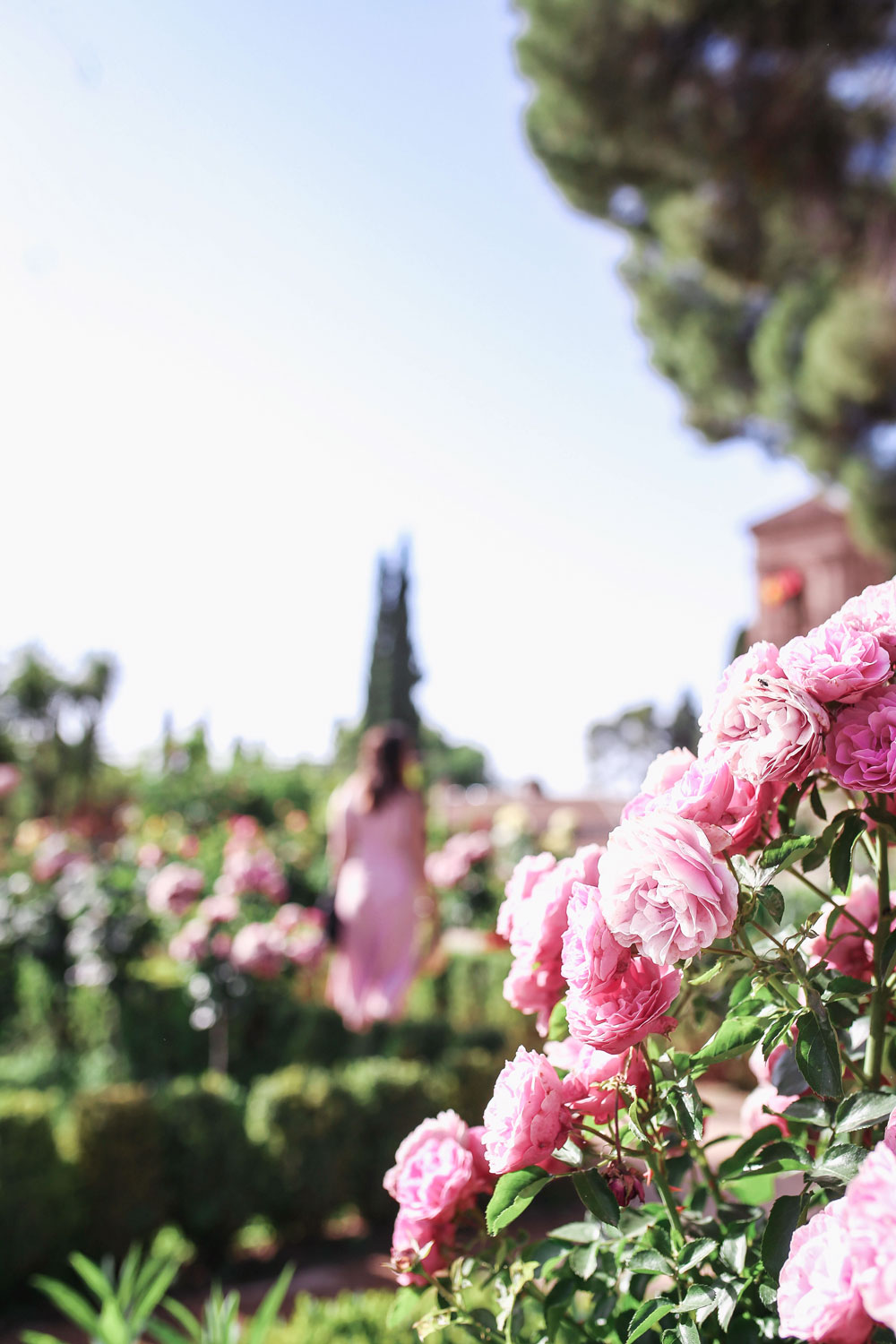 What to see at the Alhambra, Granada