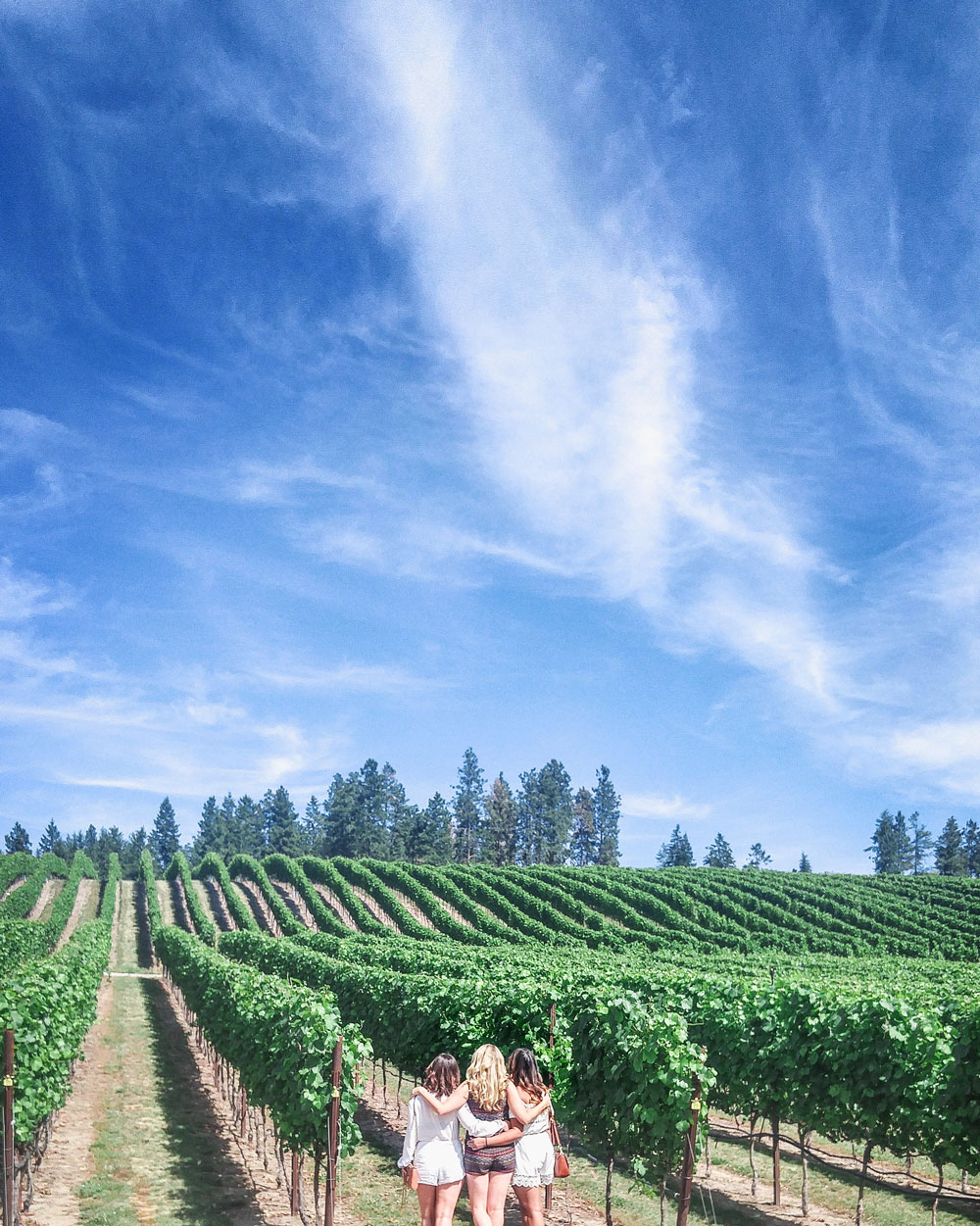 Winery tours in the okanagan shown by To Vogue or Bust