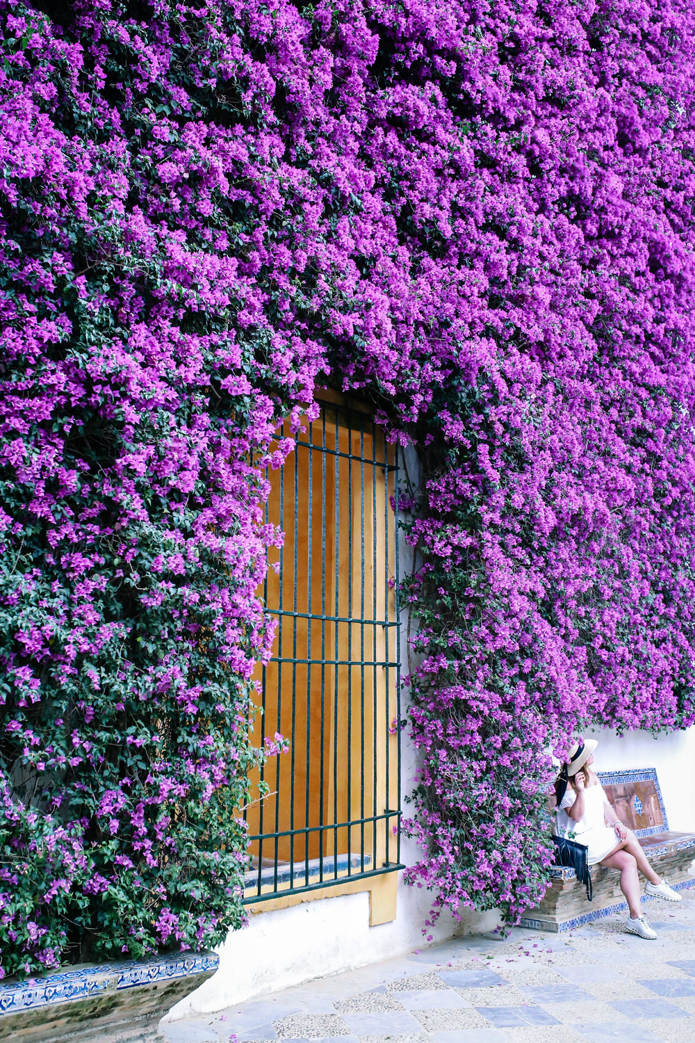 guide to alcazar seville by To Vogue or Bust