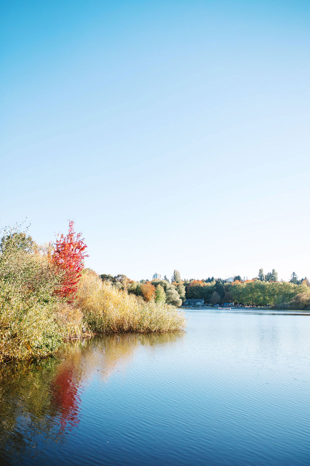 Most beautiful views in vancouver by To Vogue or Bust