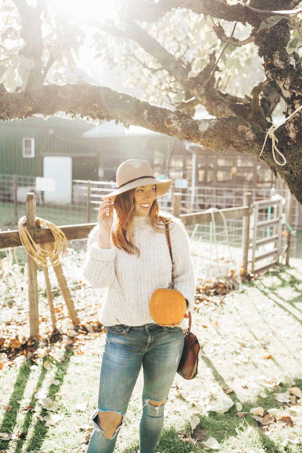 What to do in vancouver aldor acres pumpkin patch by To Vogue or Bust