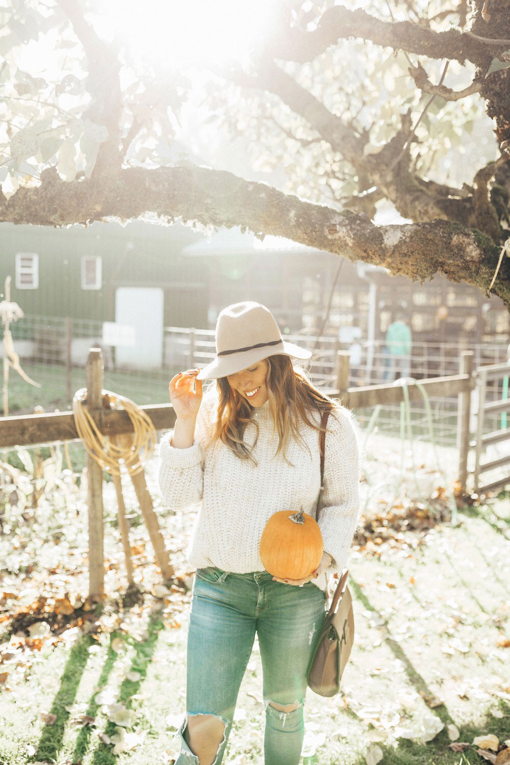 Best pumpkin patches in vancouver by To Vogue or Bust