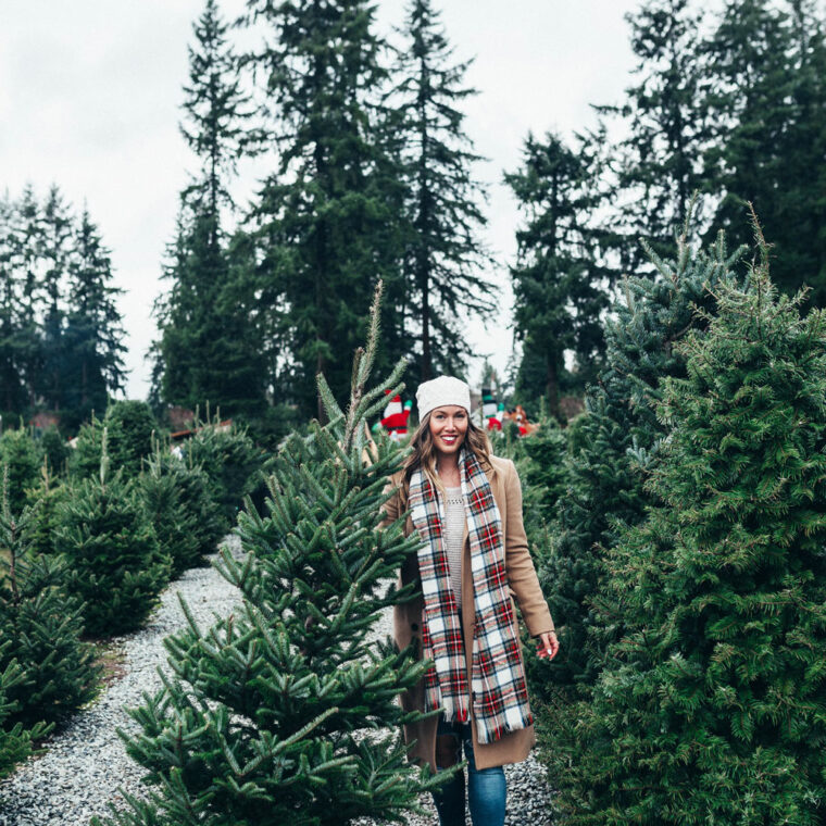 Best christmas tree farms vancouver by To Vogue or Bust