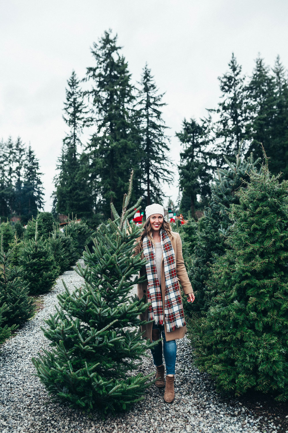 Best christmas tree farms vancouver by To Vogue or Bust