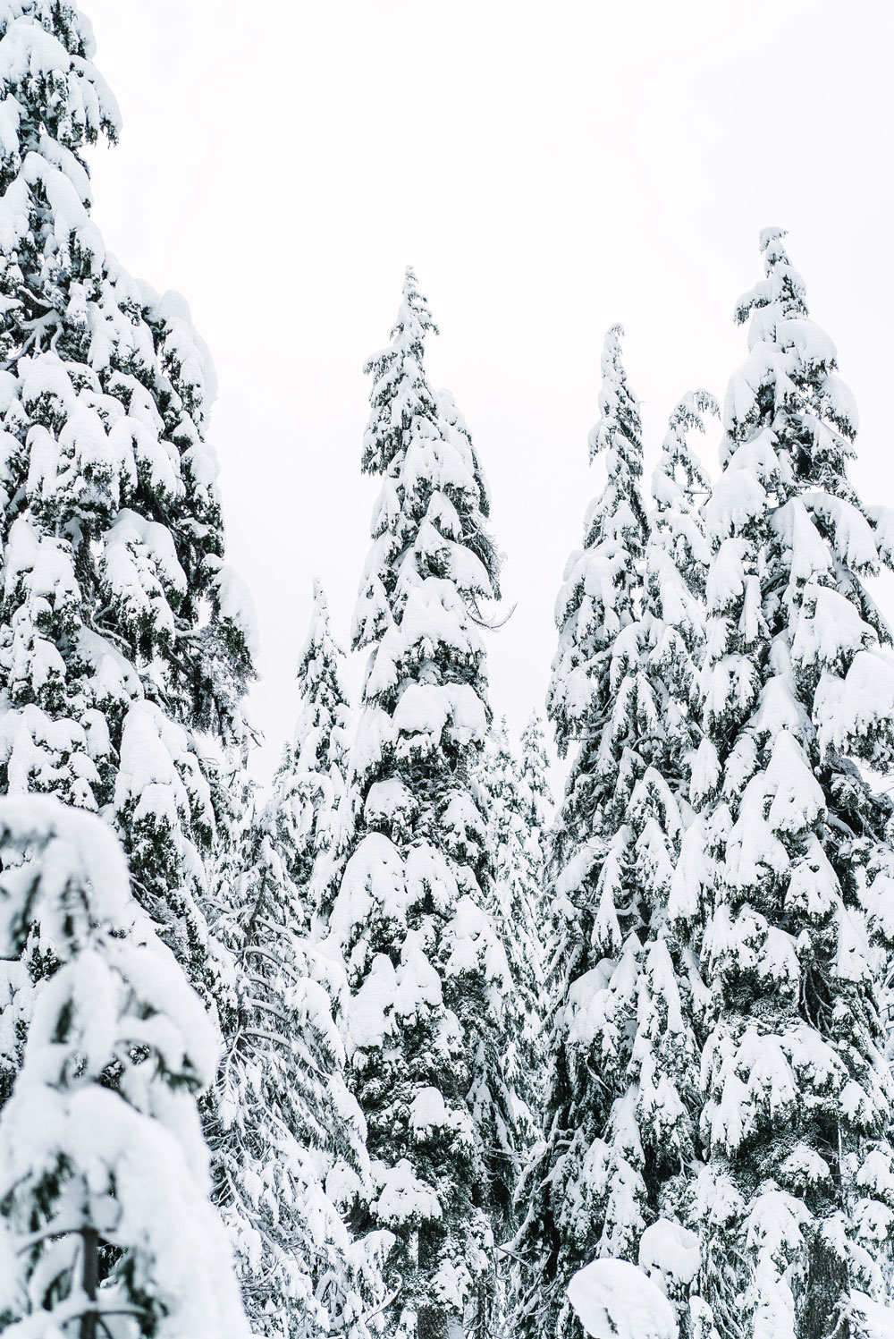 cypress mountain vancouver by To Vogue or Bust