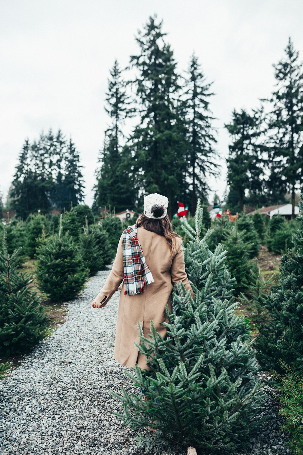 Frostys christmas tree farm by To Vogue or Bust
