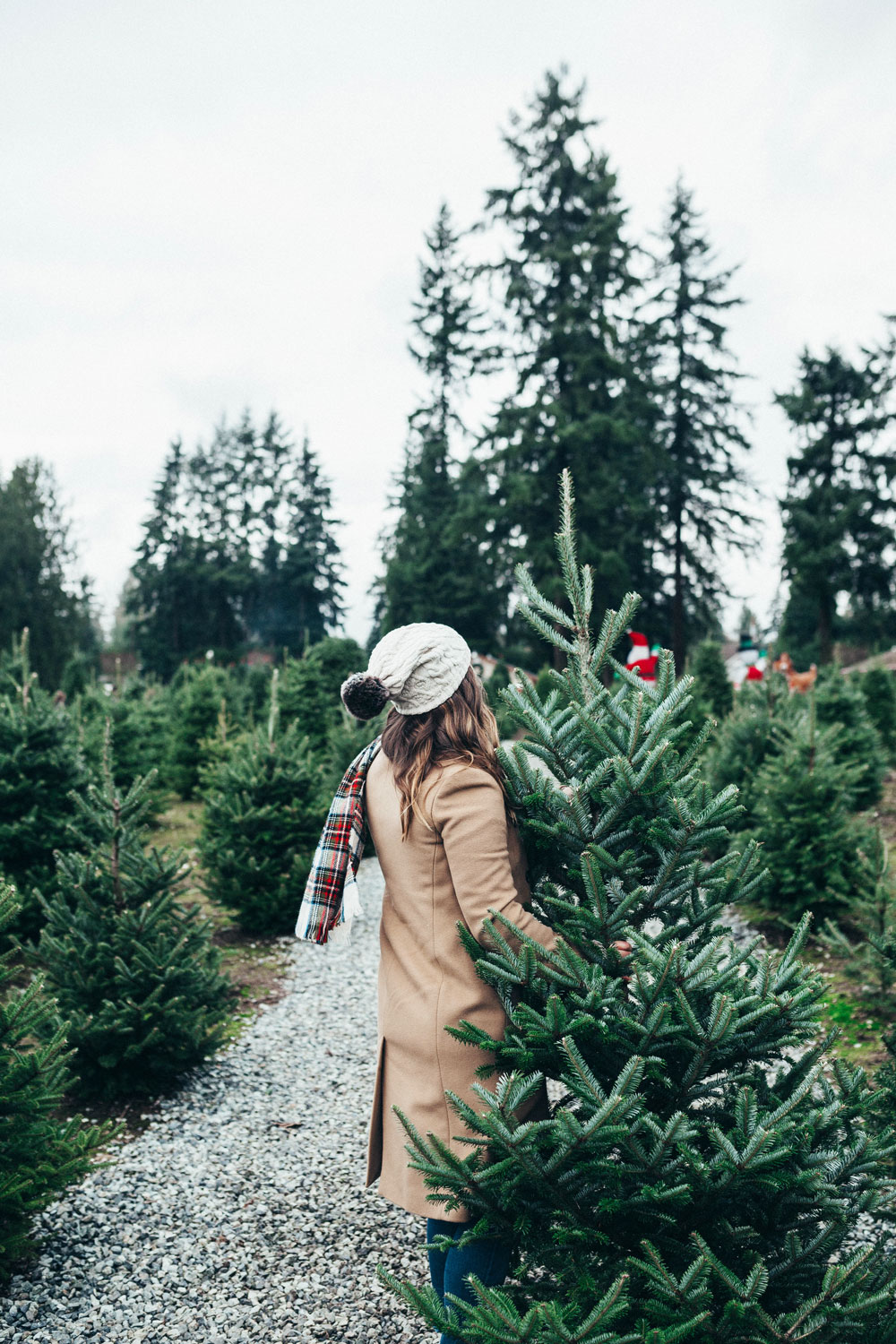 Best christmas tree farms vancouver by To Vogue or Bust