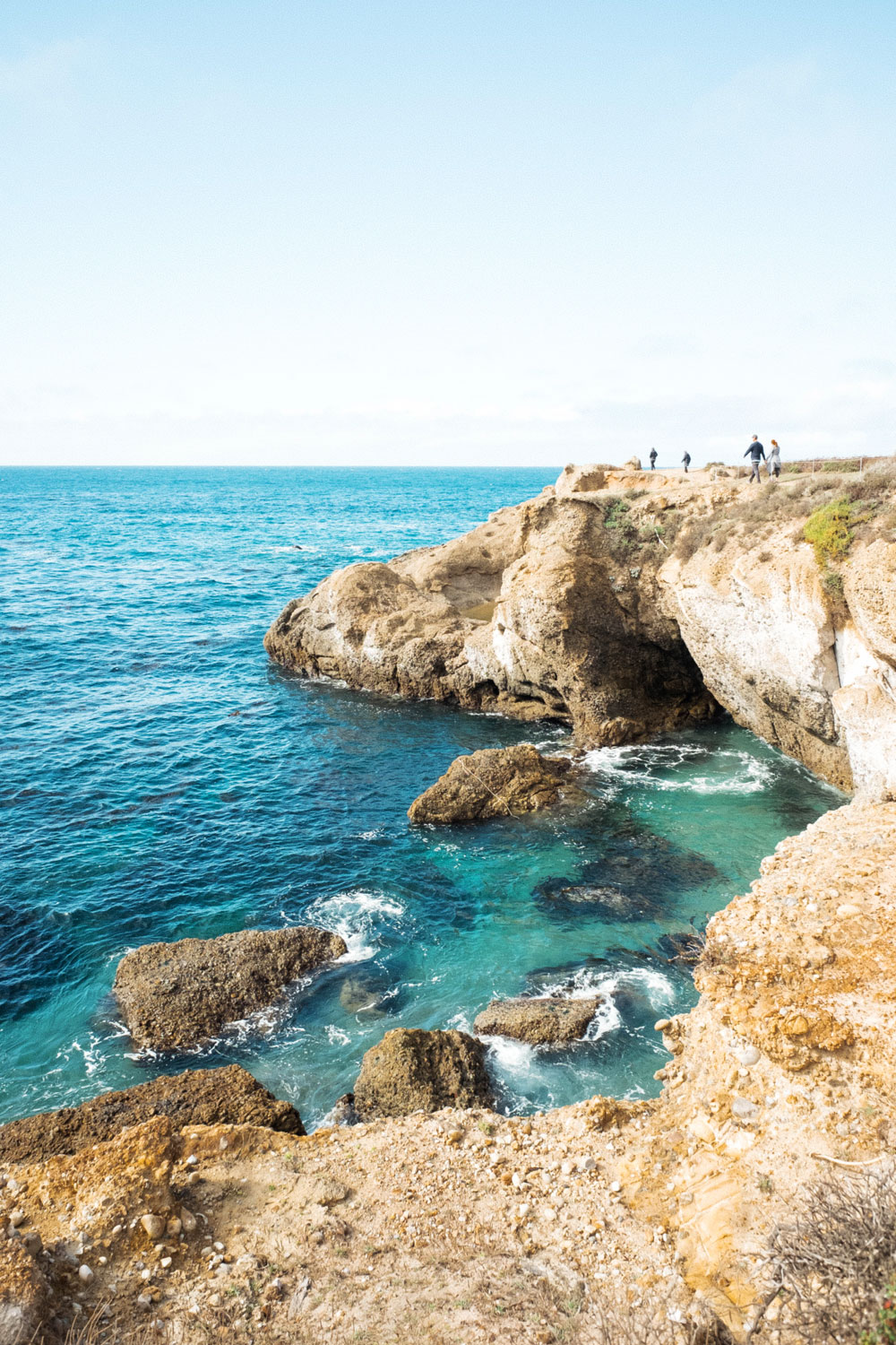 point lobos state national park by To Vogue or Bust