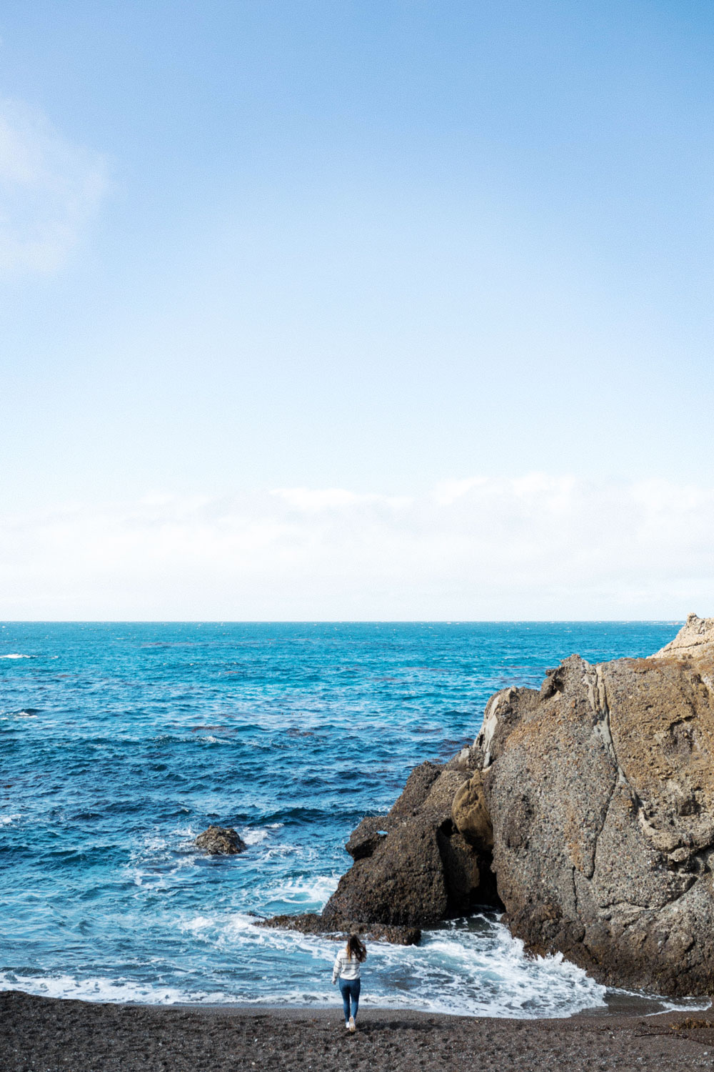 point lobos state park by To Vogue or Bust