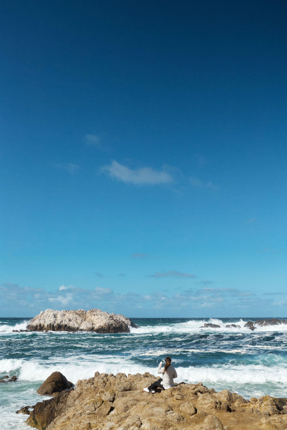 bird rock 17 mile drive by To Vogue or Bust