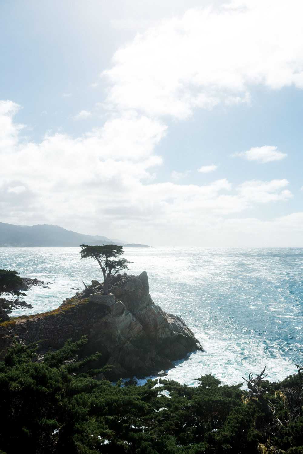 17 mile drive by To Vogue or Bust