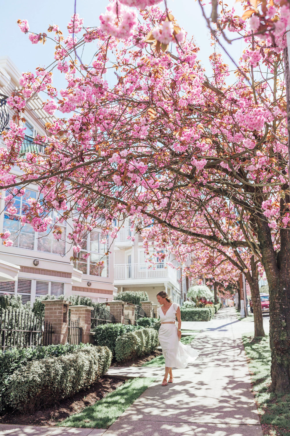 Cherry blossom season vancouver by To Vogue or Bust