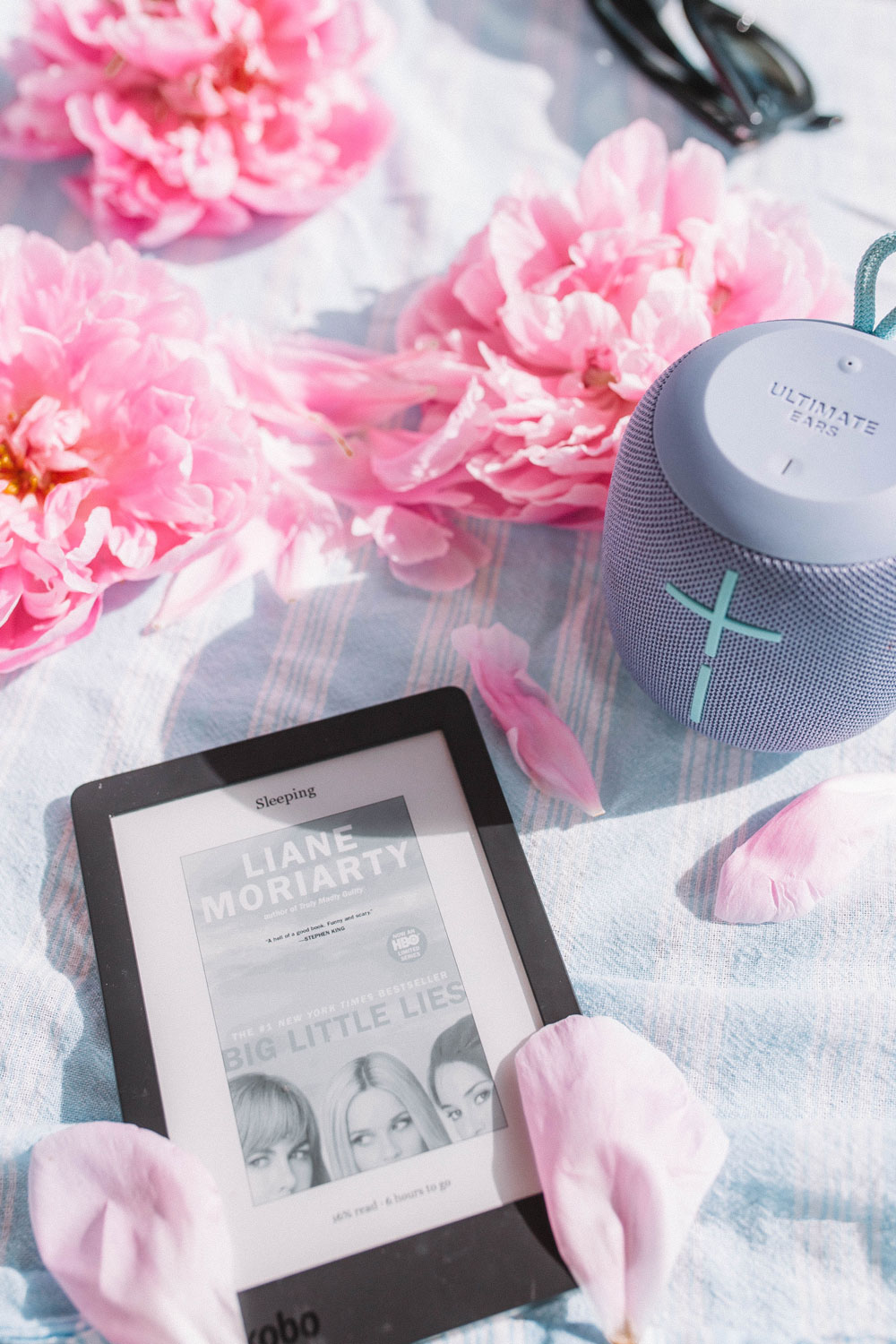 best e readers by To Vogue or Bust
