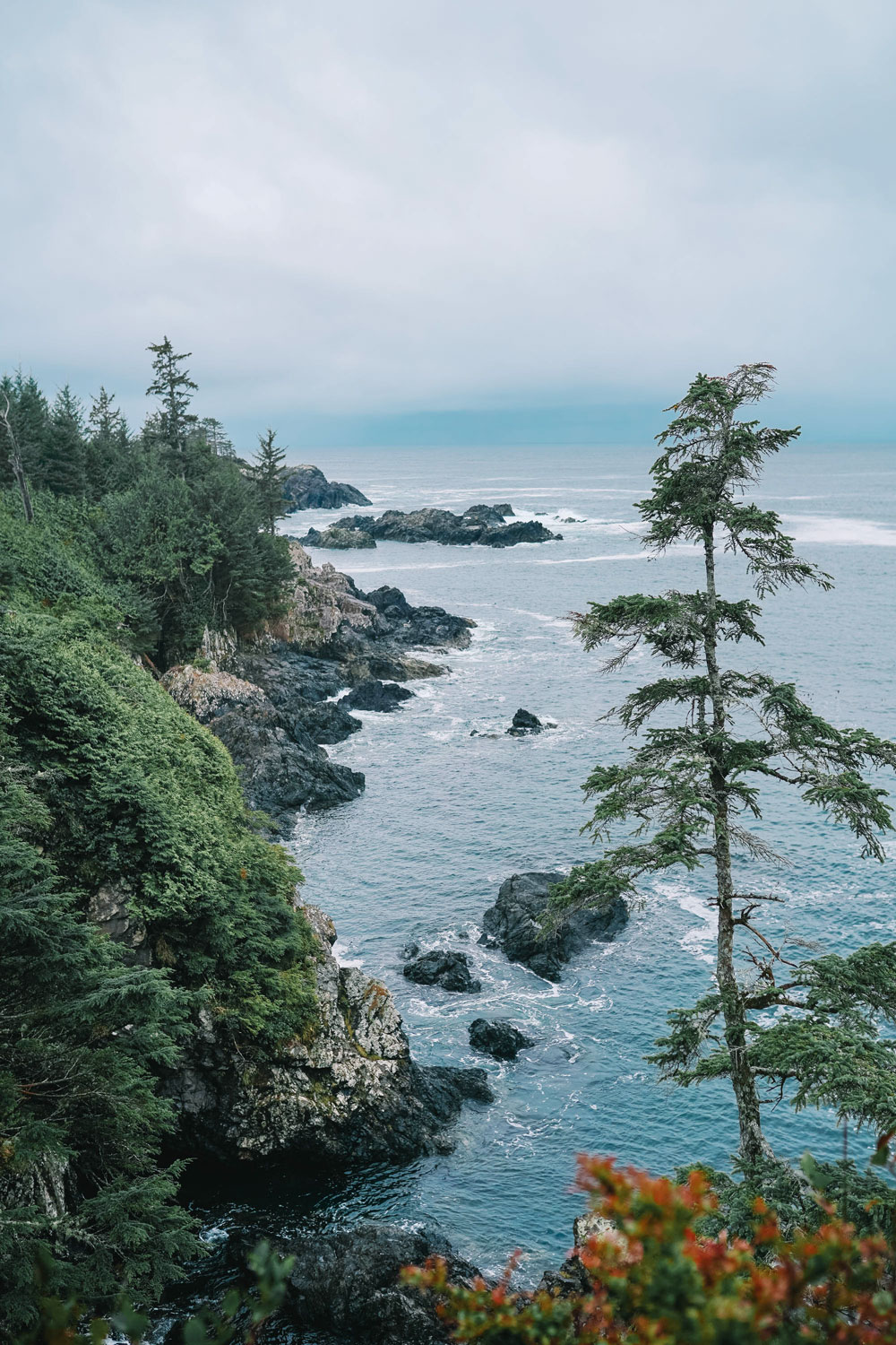 Tofino travel guide