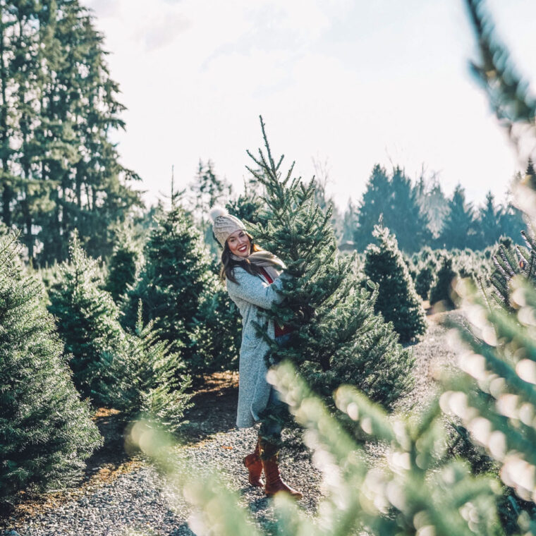 Christmas tree farms Vancouver