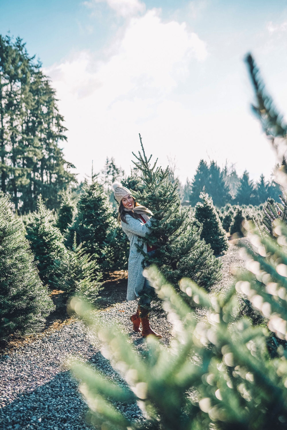 Christmas tree farms Vancouver