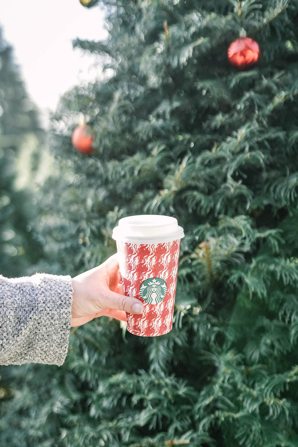 Christmas tree farms Vancouver