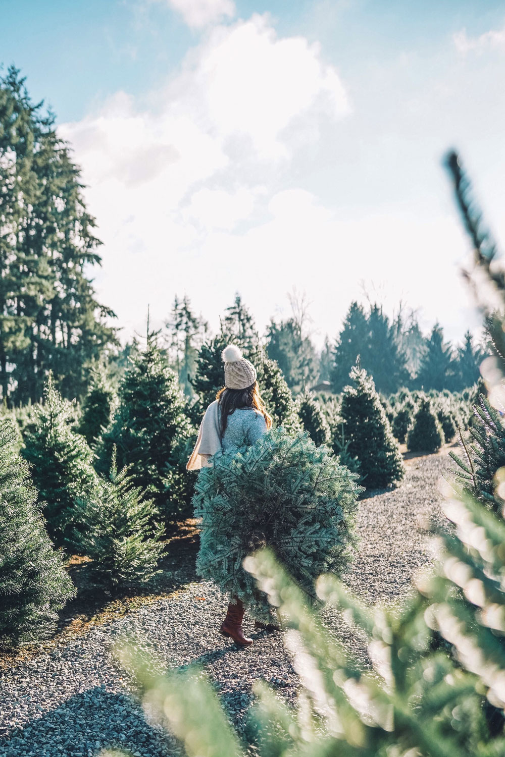 Christmas tree farms Vancouver