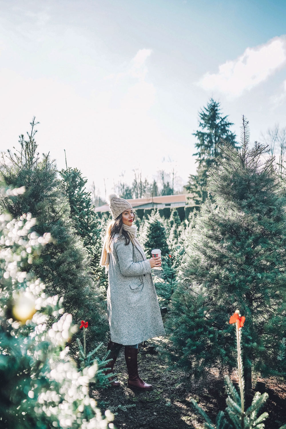 Christmas tree farms Vancouver