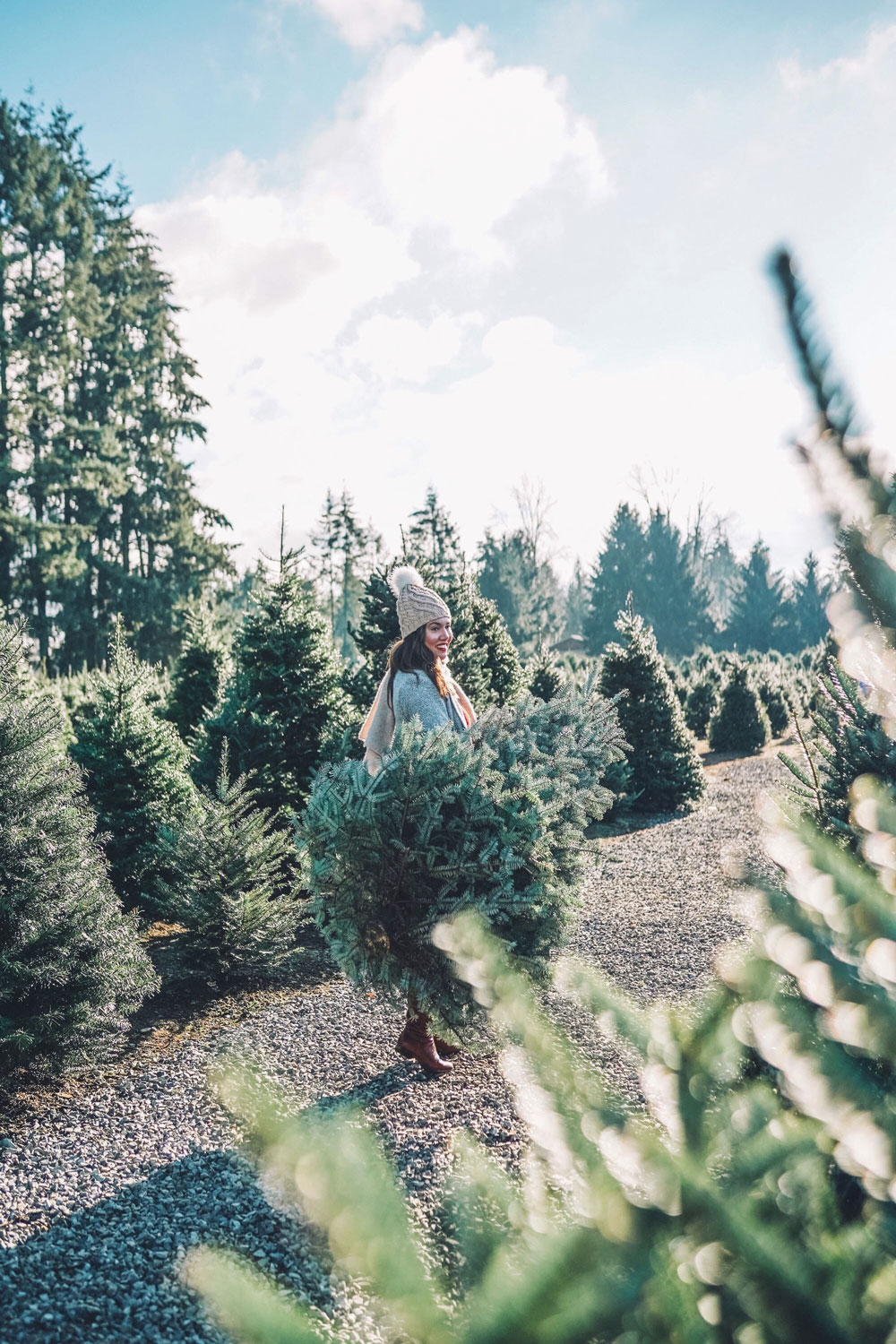 Christmas tree farms Vancouver