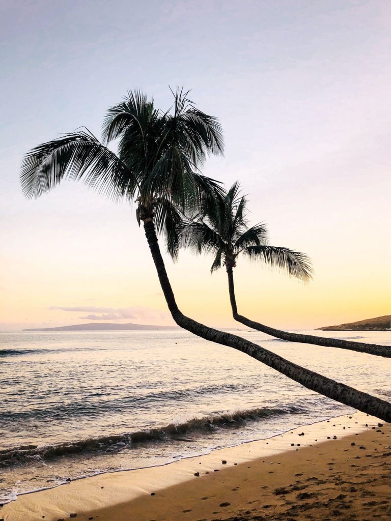 Best beaches in Maui