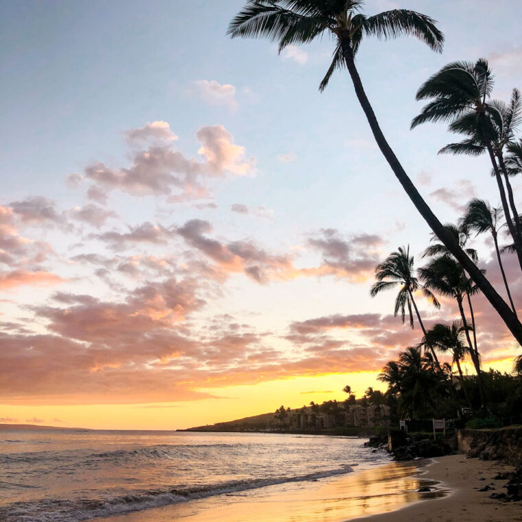 Maui travel guide