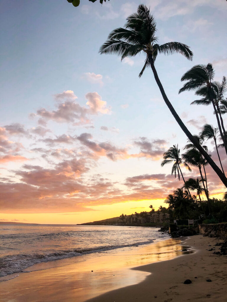 Maui travel guide