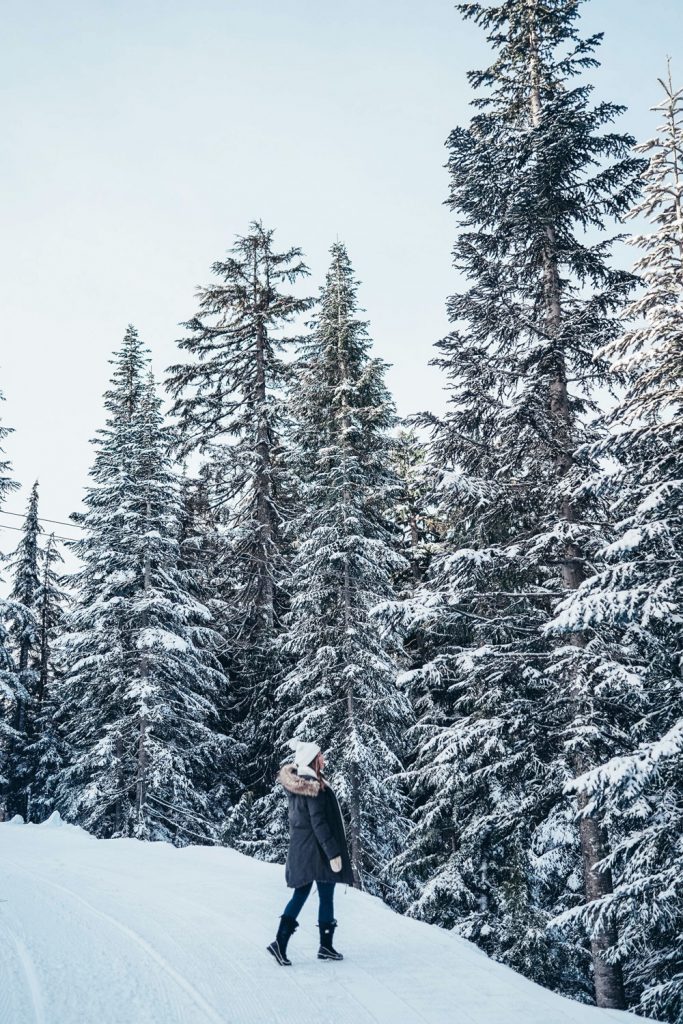 Vancouver, Canada in the winter