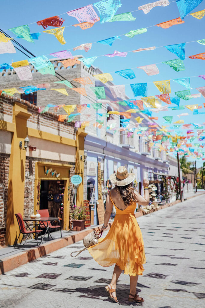 Todos Santos travel guide